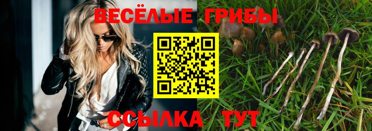 Галлюциногенные грибы Magic Shrooms Торжок